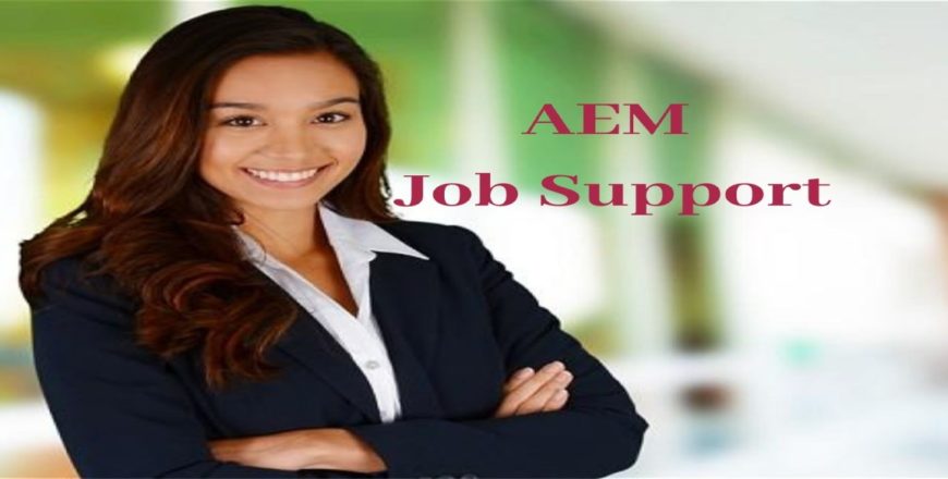 AEM Job Support