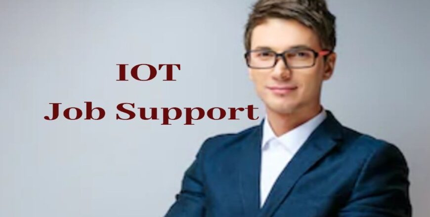 IOT Job Support