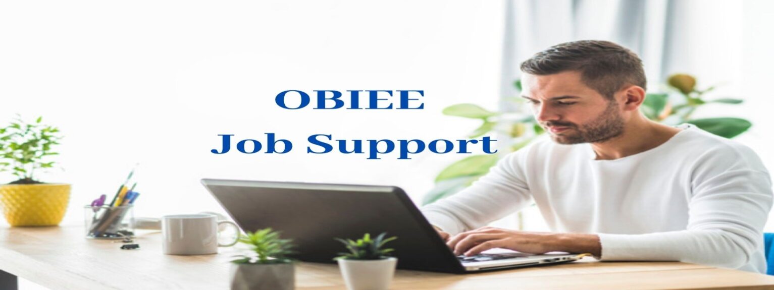 OBIEE-Job-Support