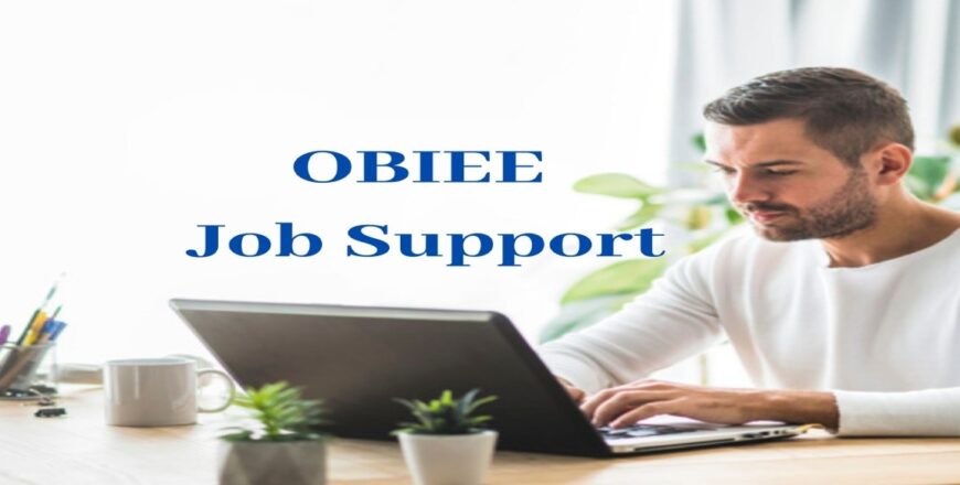 OBIEE Job Support