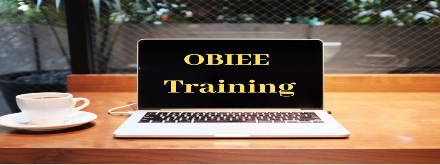 OBIEE-Training