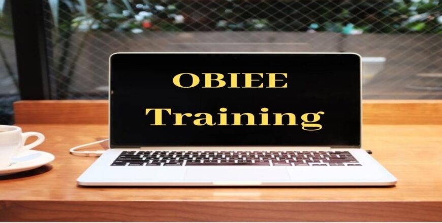 OBIEE Training