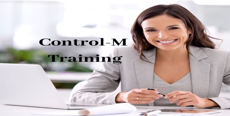 Control-M Training