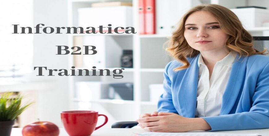 Informatica B2B Training