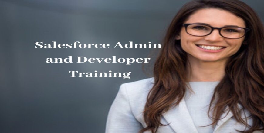 Salesforce Admin and Developer Training