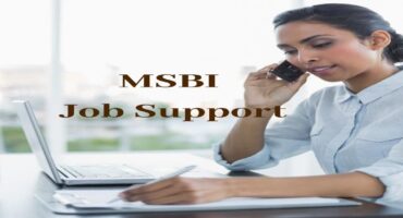 MSBI Job Support