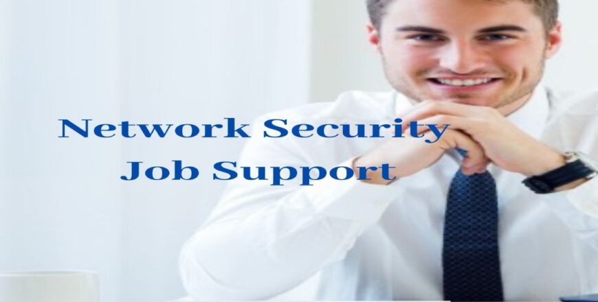 Network Security Job Support