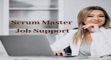 Scrum Master Job Support