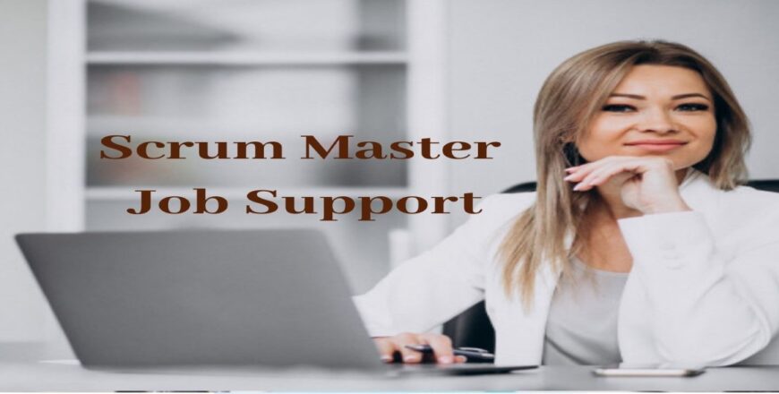Scrum Master Job Support