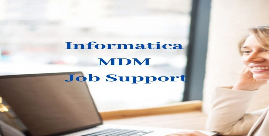 Informatica MDM Job Support