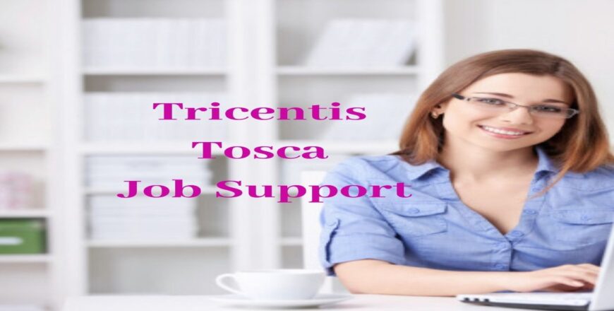 Tricentis Tosca Job Support