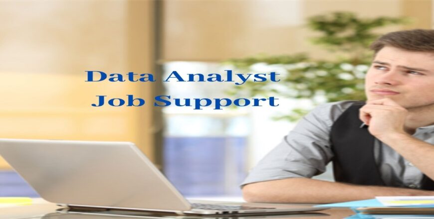 Data Analyst Job Support