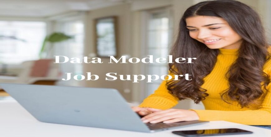 Data Modeler Job Support
