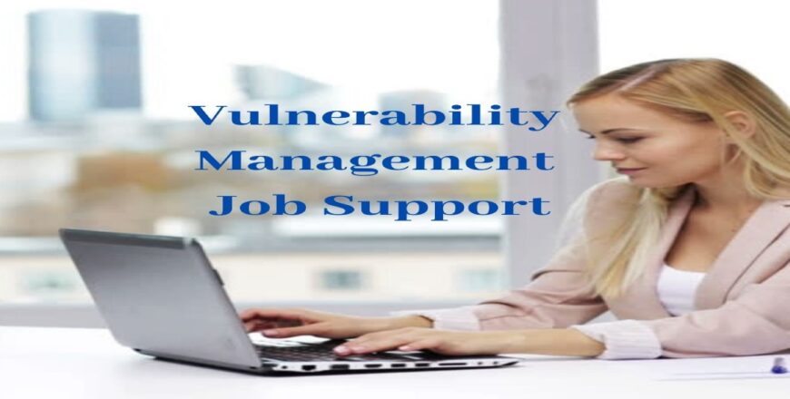 Vulnerability Management Job Support