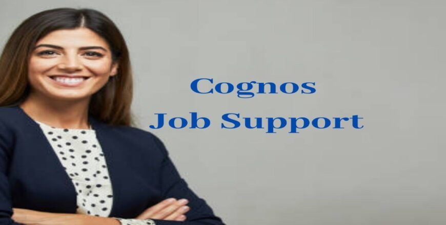Cognos Job Support