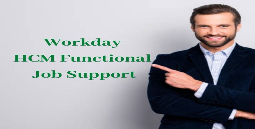 Workday HCM Functional Job Support