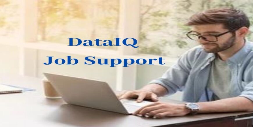 DataIQ Job Support
