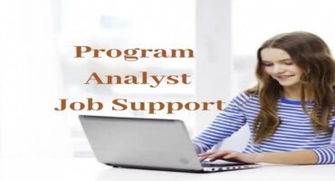Program Analyst Job Support