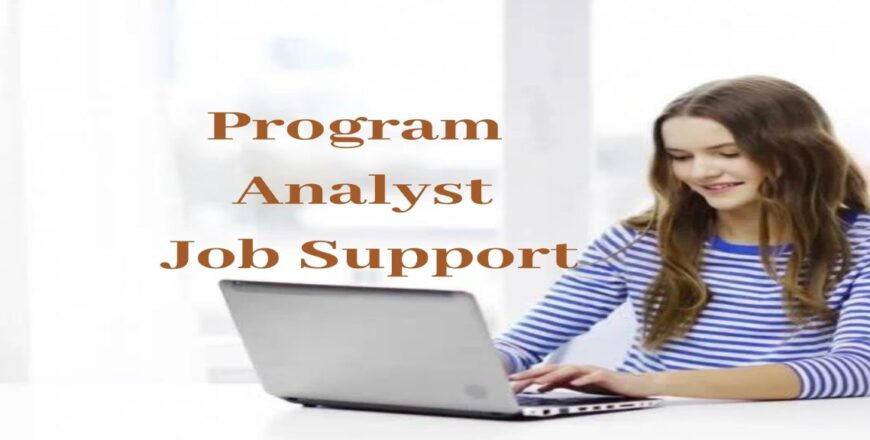 Program Analyst Job Support