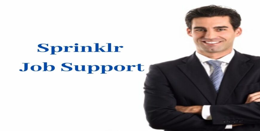 Sprinklr Job Support