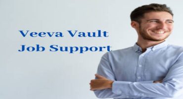 Veeva Vault Job Support