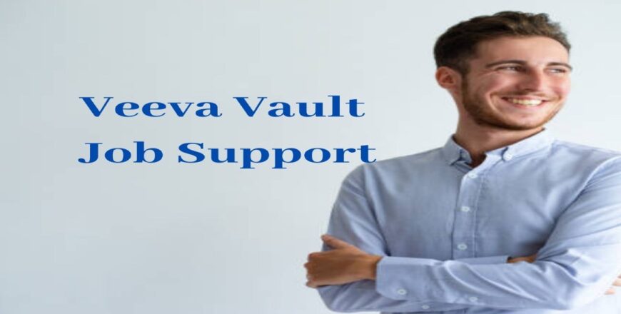 Veeva Vault Job Support