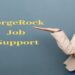 ForgeRock Job Support