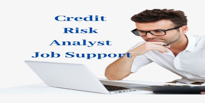 Credit Risk Analyst Job Support