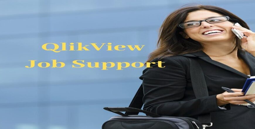 QlikView Job Support
