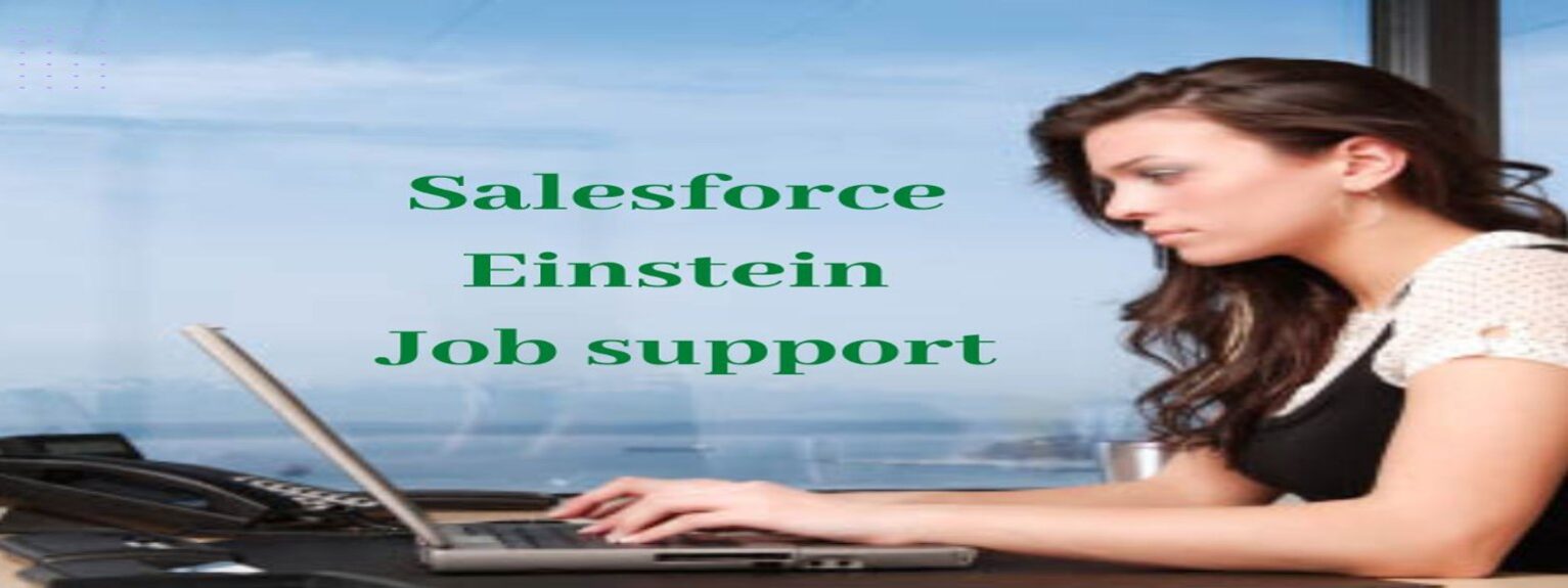 Salesforce-Einstein-Job-Support