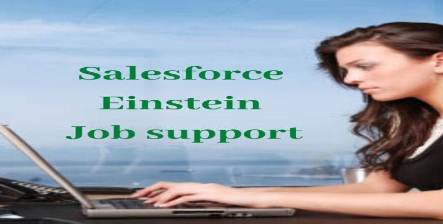 Salesforce Einstein Job support