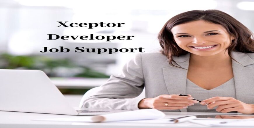 Xceptor Developer Job Support