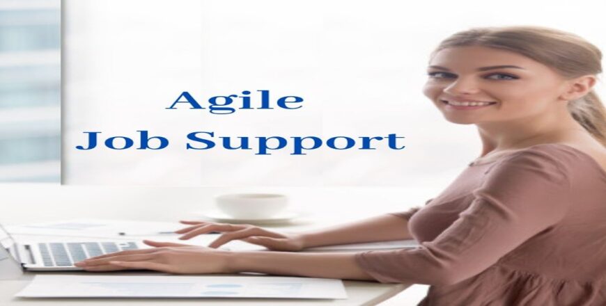 Agile Job Support