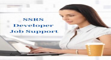 SSRS Developer Job Support