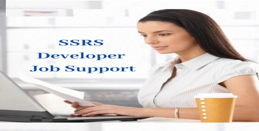 SSRS Developer Job Support