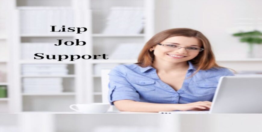 Lisp Job Support