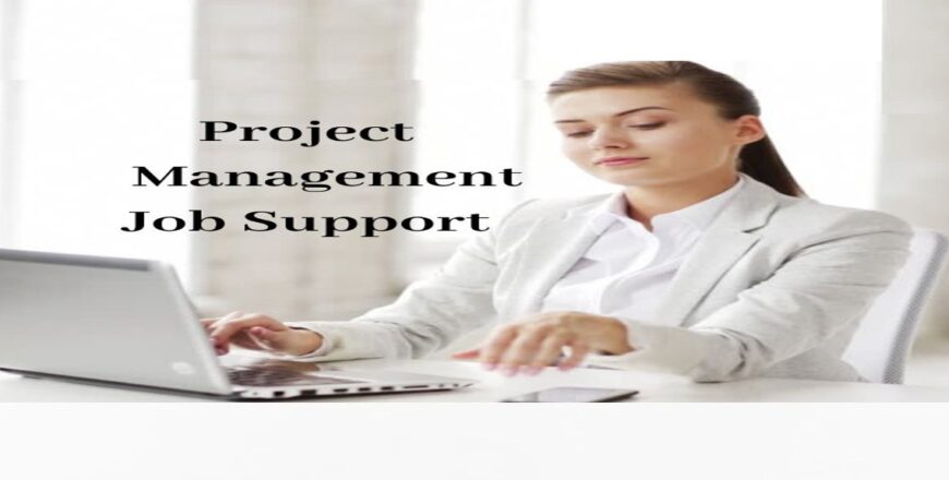 Project Management Job Support